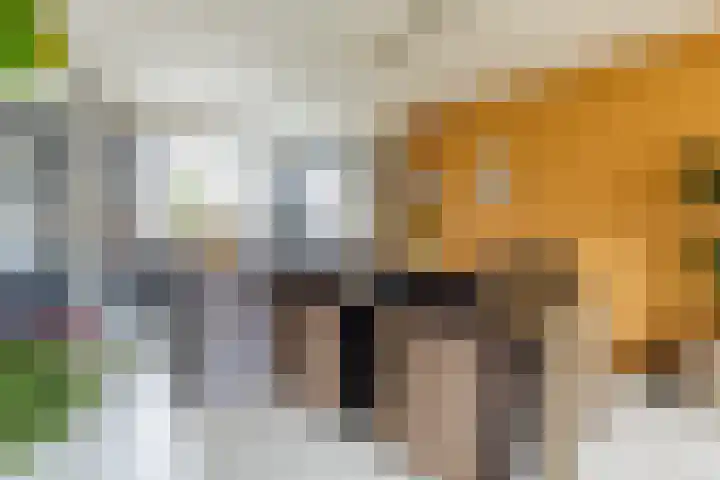 Meerkoetplaats 16 Numansdorp thumbnail 10