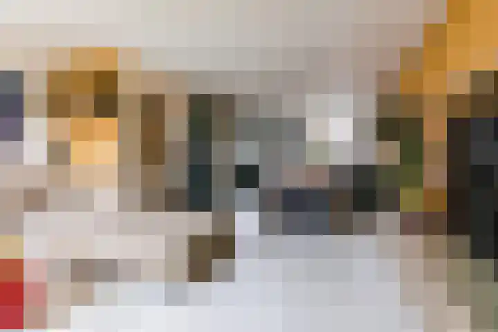 Meerkoetplaats 16 Numansdorp thumbnail 12