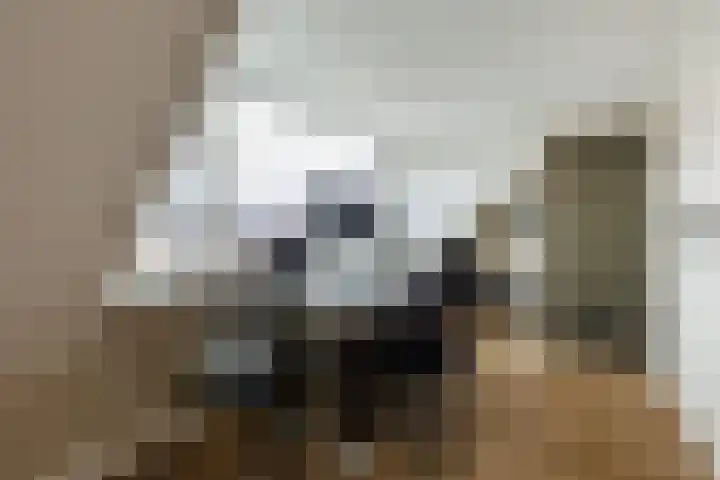 Meerkoetplaats 16 Numansdorp thumbnail 26