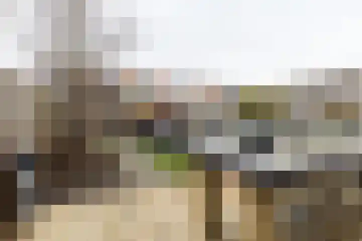 Meerkoetplaats 16 Numansdorp thumbnail 27