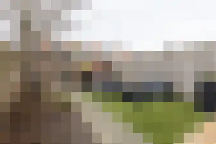 Meerkoetplaats 16 Numansdorp thumbnail 28