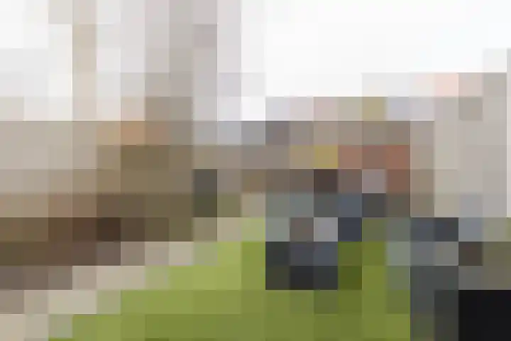 Meerkoetplaats 16 Numansdorp thumbnail 29