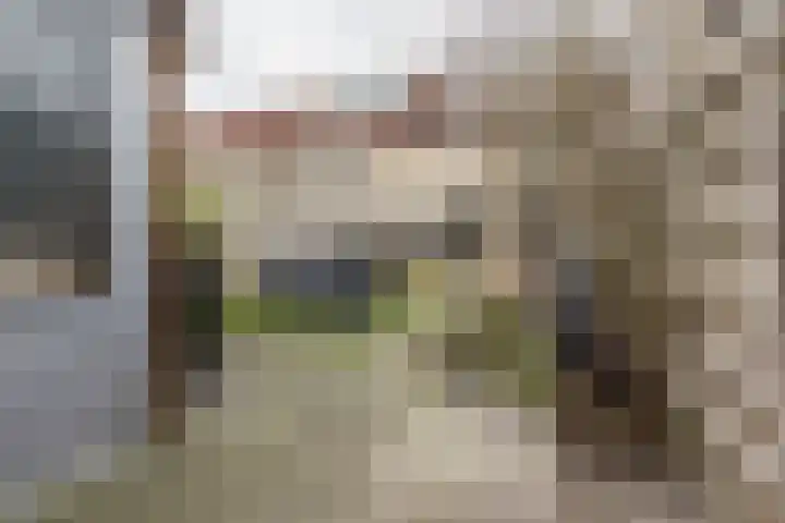 Meerkoetplaats 16 Numansdorp thumbnail 30