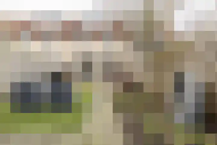 Meerkoetplaats 16 Numansdorp thumbnail 31