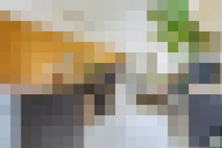 Meerkoetplaats 16 Numansdorp thumbnail 5