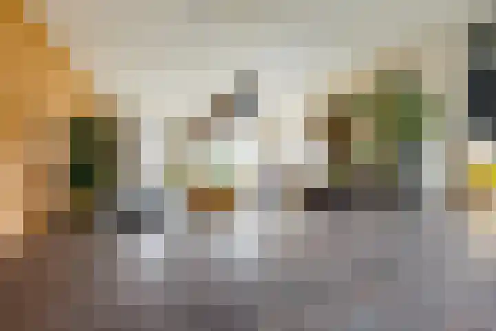Meerkoetplaats 16 Numansdorp thumbnail 9