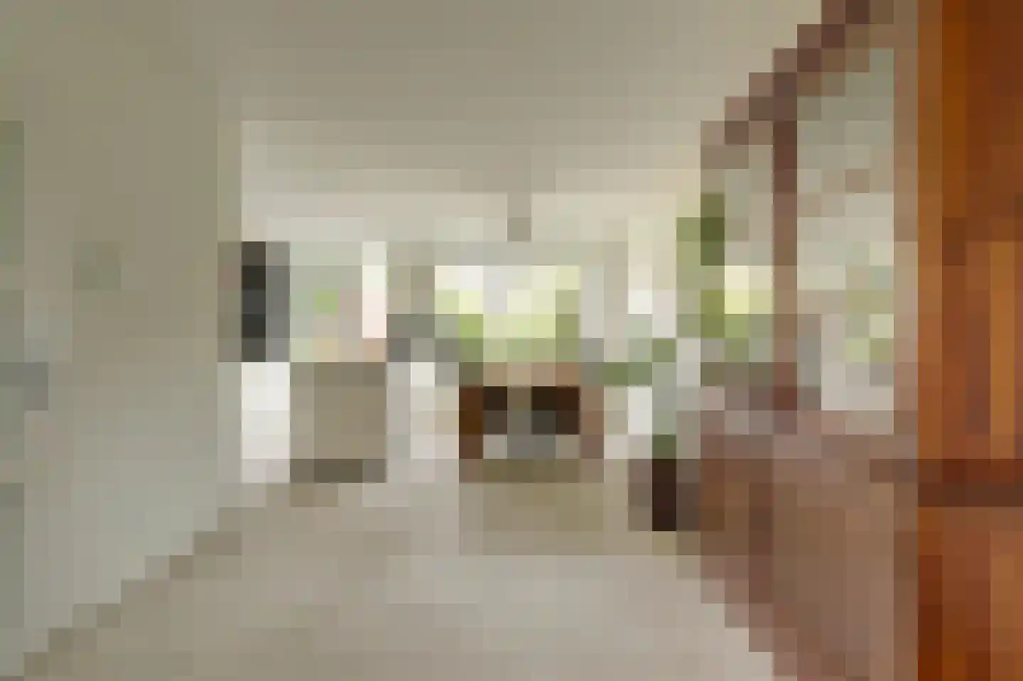 Meerkoetsingel 5 Nieuwegein thumbnail 11