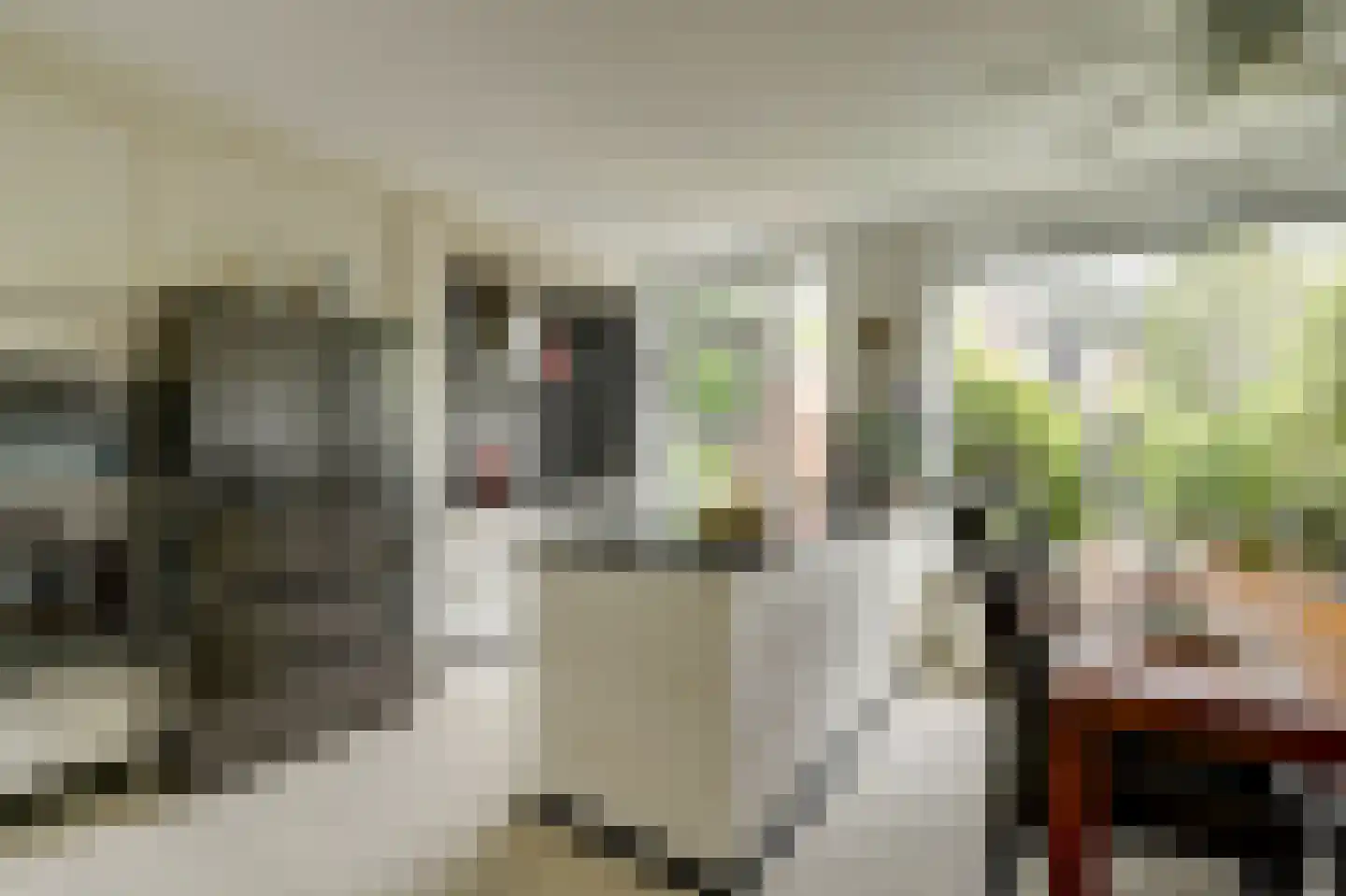 Meerkoetsingel 5 Nieuwegein thumbnail 14