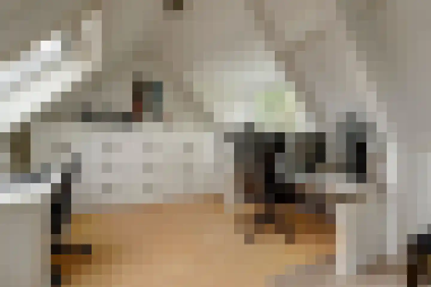 Meerkoetsingel 5 Nieuwegein thumbnail 36