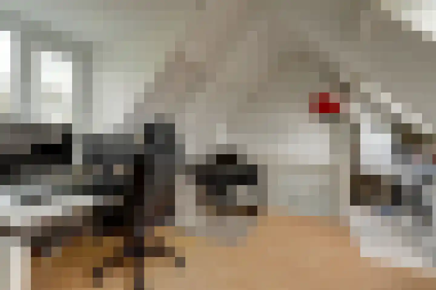 Meerkoetsingel 5 Nieuwegein thumbnail 37