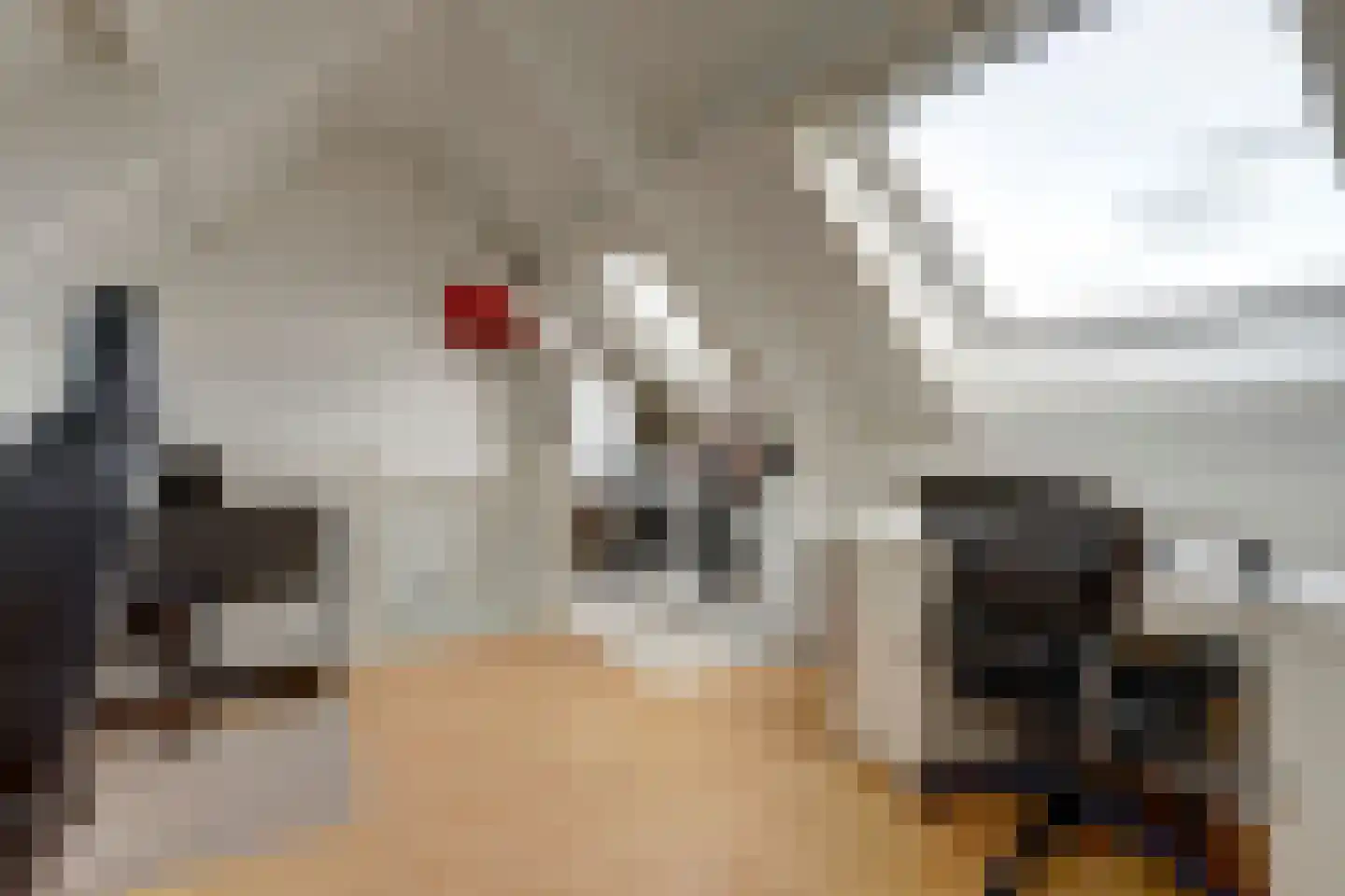 Meerkoetsingel 5 Nieuwegein thumbnail 38