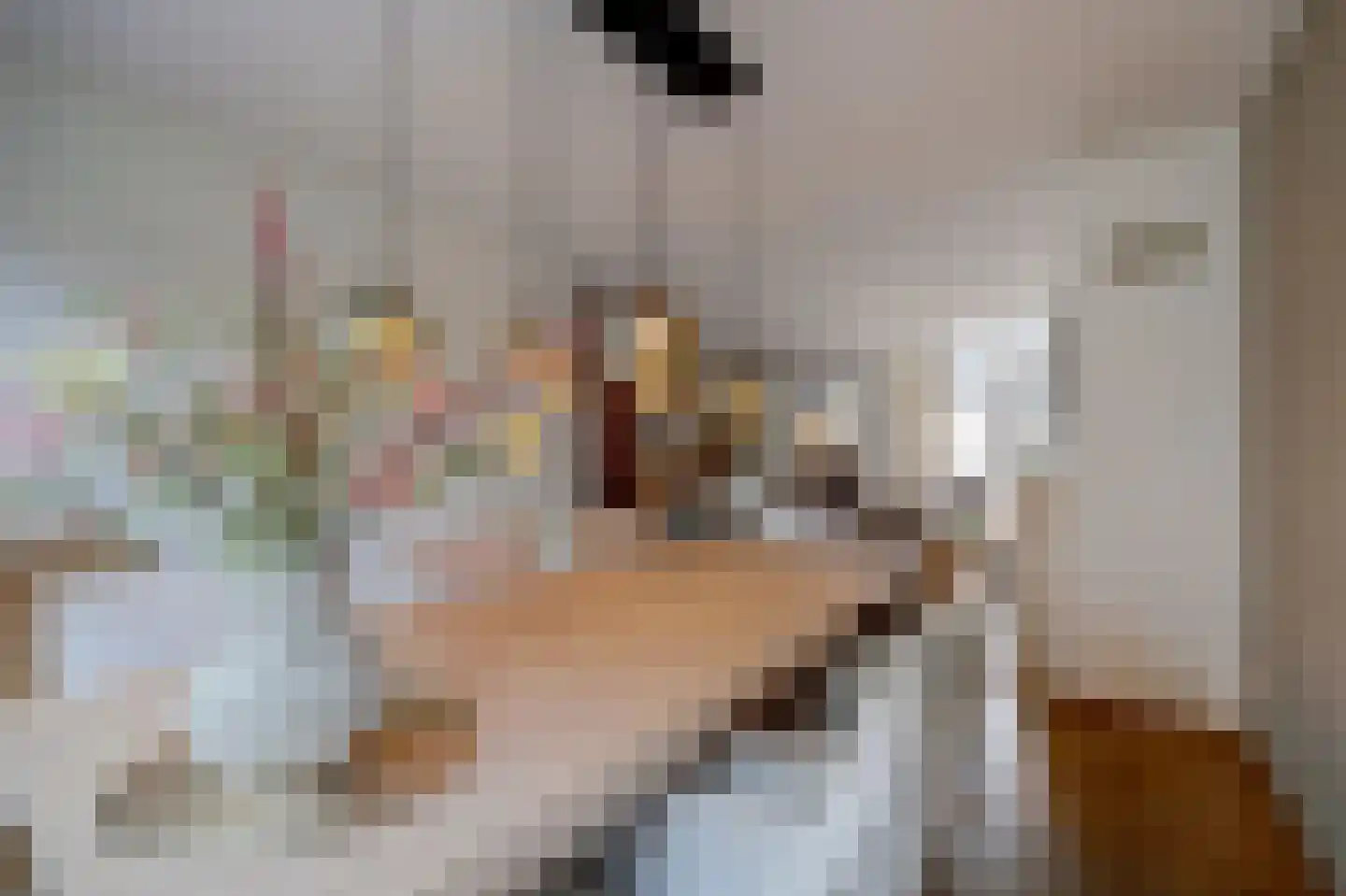 Meerkoetstraat 10 Ermelo thumbnail 15
