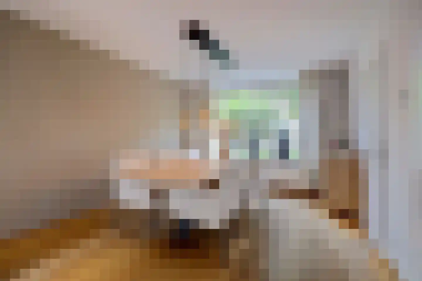 Meerkoetstraat 10 Ermelo thumbnail 16