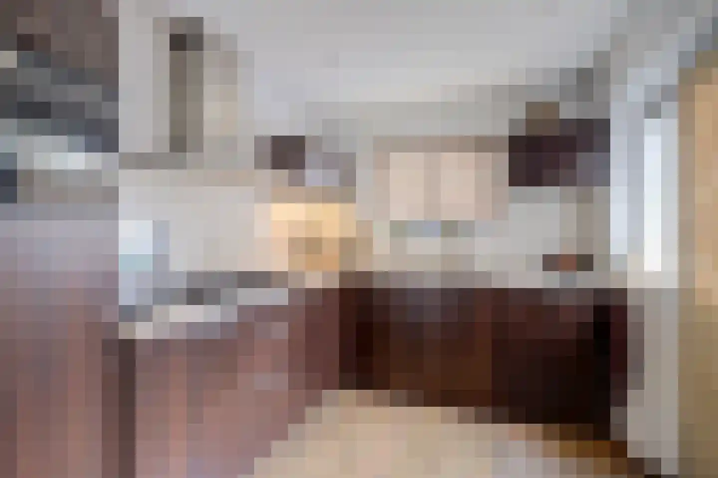 Meerkoetstraat 10 Ermelo thumbnail 18