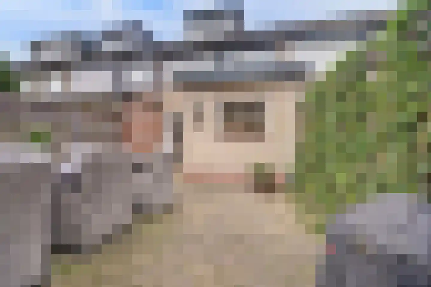 Meerkoetstraat 10 Ermelo thumbnail 36