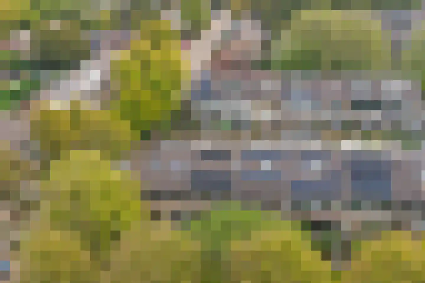 Meerkoetstraat 10 Ermelo thumbnail 39