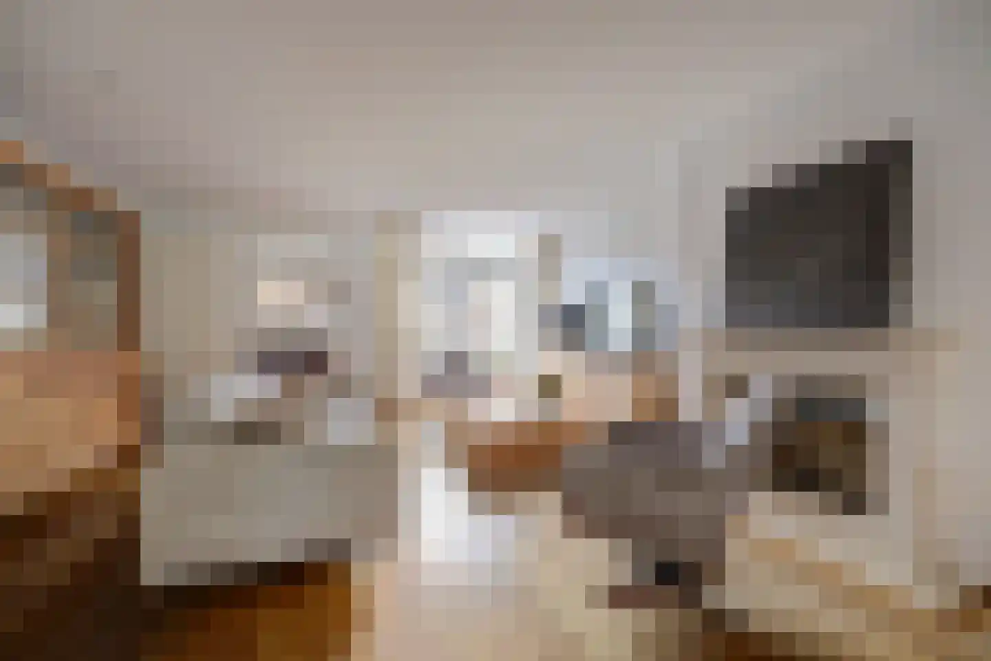 Meerkoetstraat 10 Ermelo thumbnail 9