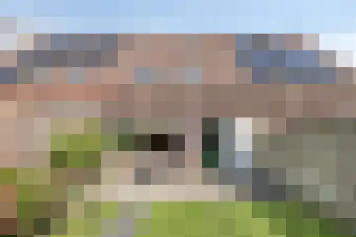 Meerkoetstraat 11 Alkmaar thumbnail 18