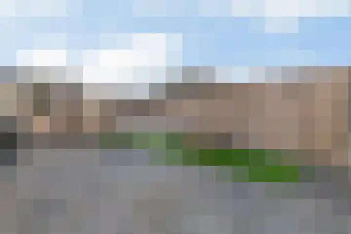 Meerkoetstraat 12 Vlaardingen thumbnail 31