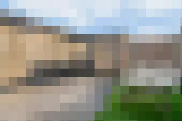 Meerkoetstraat 12 Vlaardingen thumbnail 33