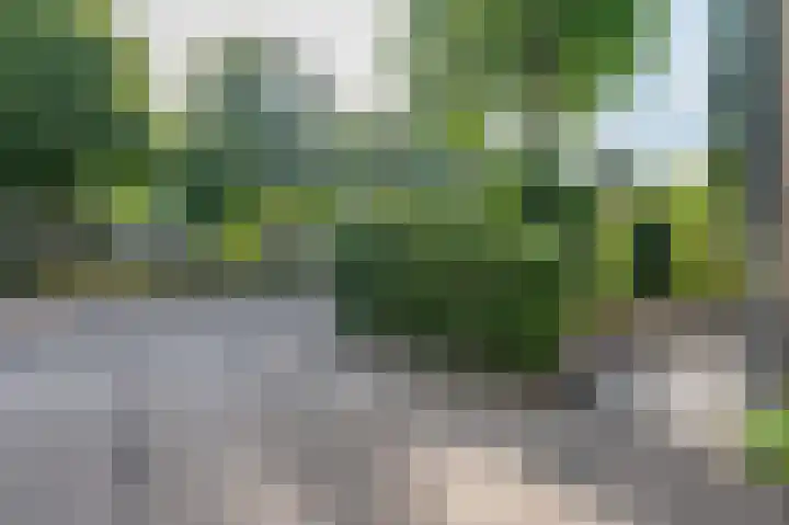 Meerkoetstraat 13 Ermelo thumbnail 36