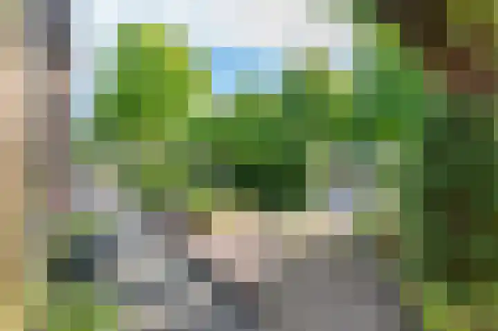 Meerkoetstraat 13 Ermelo thumbnail 38