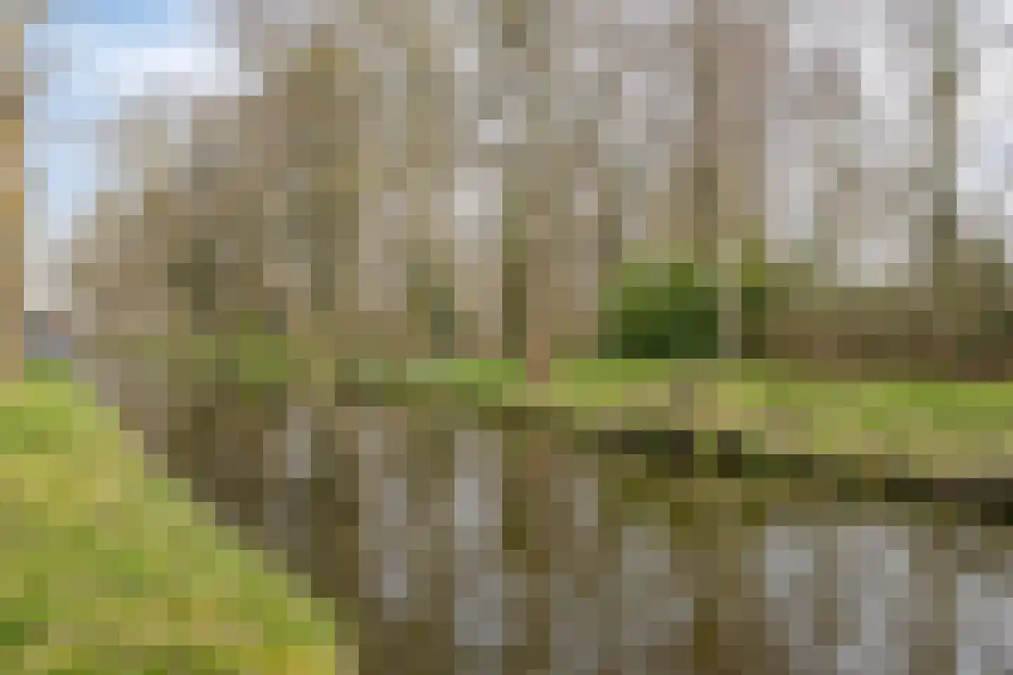 Meerkoetstraat 16 Ilpendam thumbnail 36