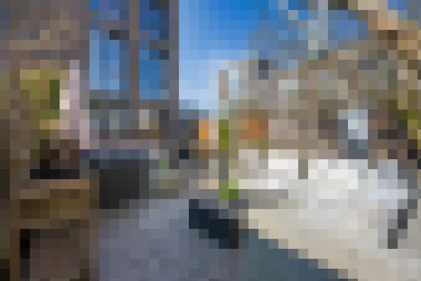 Meerkoetstraat 18 Den Haag thumbnail 48