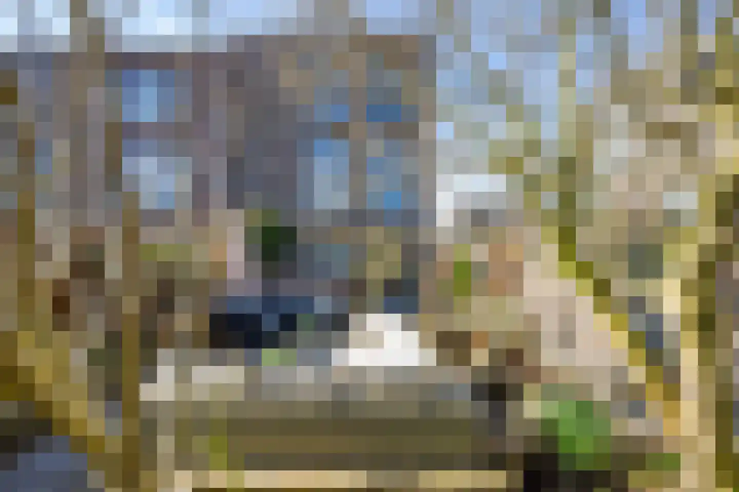 Meerkoetstraat 18 Den Haag thumbnail 50