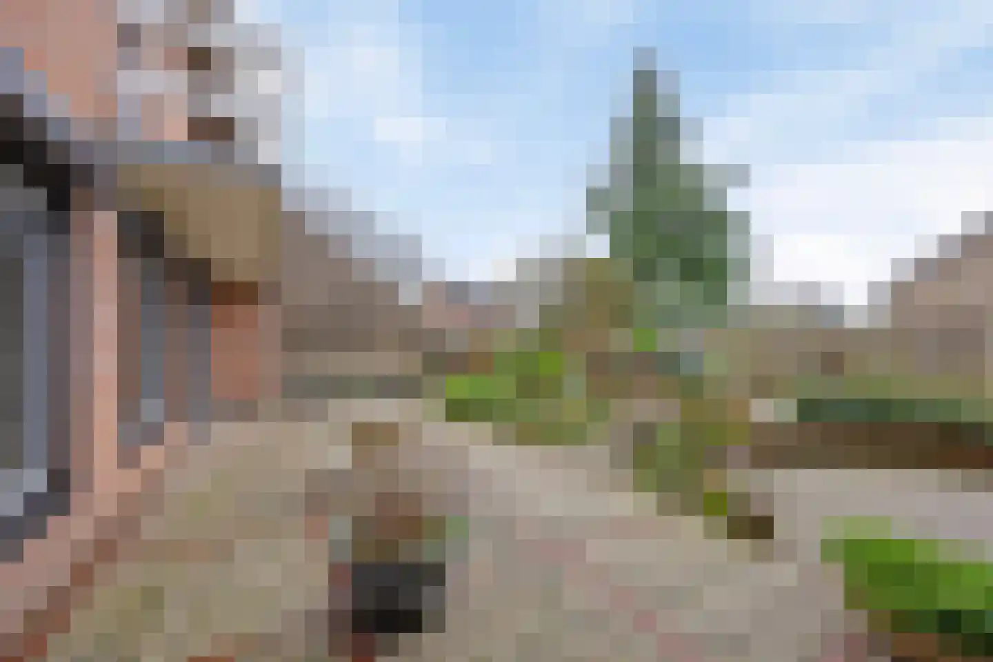 Meerkoetstraat 2 Wijchen thumbnail 10