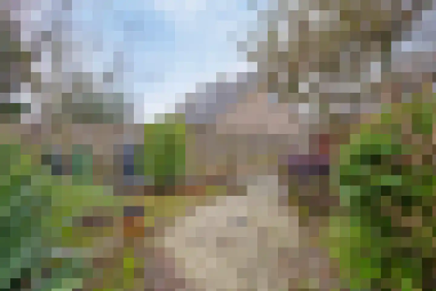 Meerkoetstraat 2 Wijchen thumbnail 12