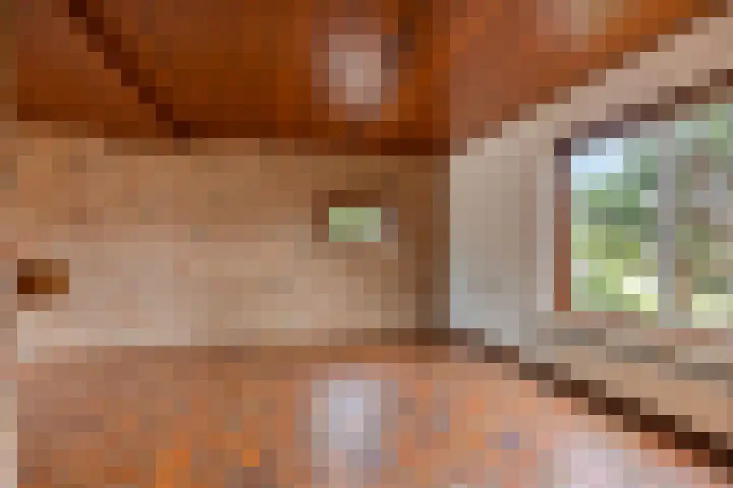 Meerkoetstraat 2 Wijchen thumbnail 16
