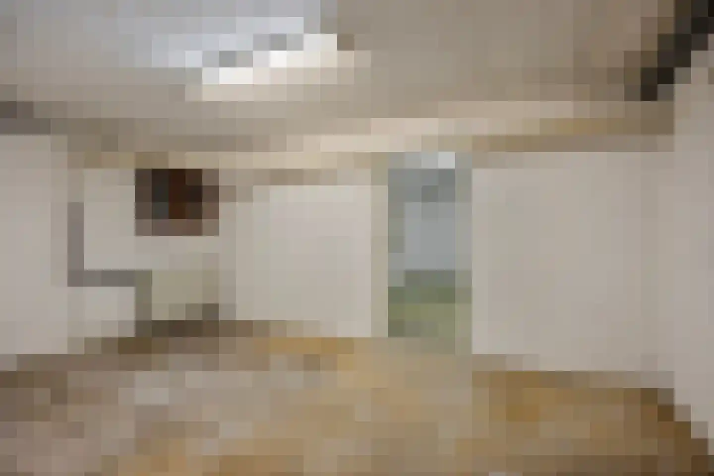 Meerkoetstraat 2 Wijchen thumbnail 22
