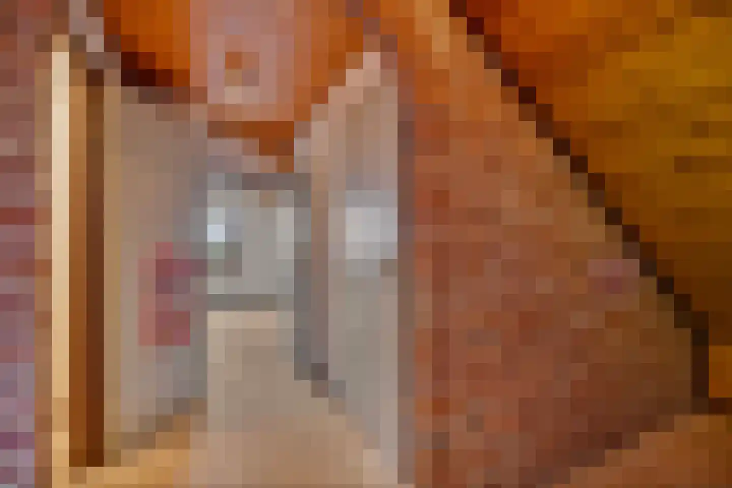 Meerkoetstraat 2 Wijchen thumbnail 37