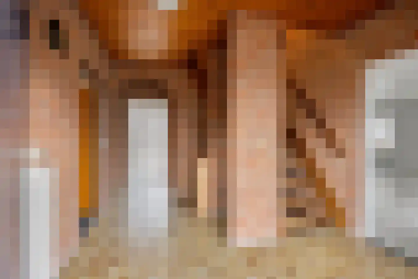 Meerkoetstraat 2 Wijchen thumbnail 51