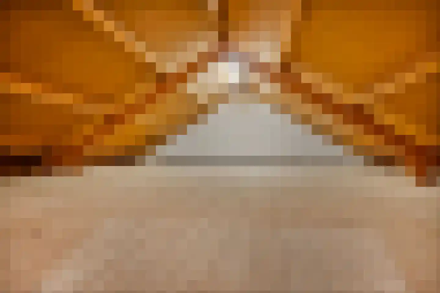 Meerkoetstraat 2 Wijchen thumbnail 63