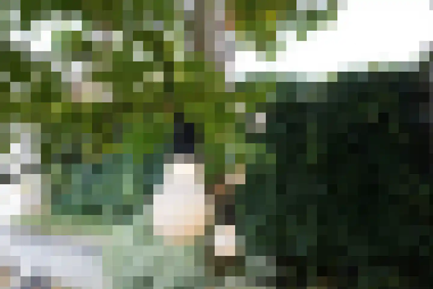 Meerkoetstraat 21 Putten thumbnail 26
