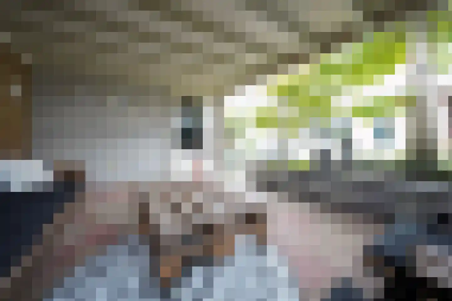 Meerkoetstraat 21 Putten thumbnail 29
