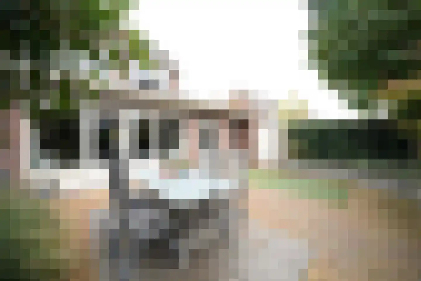 Meerkoetstraat 21 Putten thumbnail 31