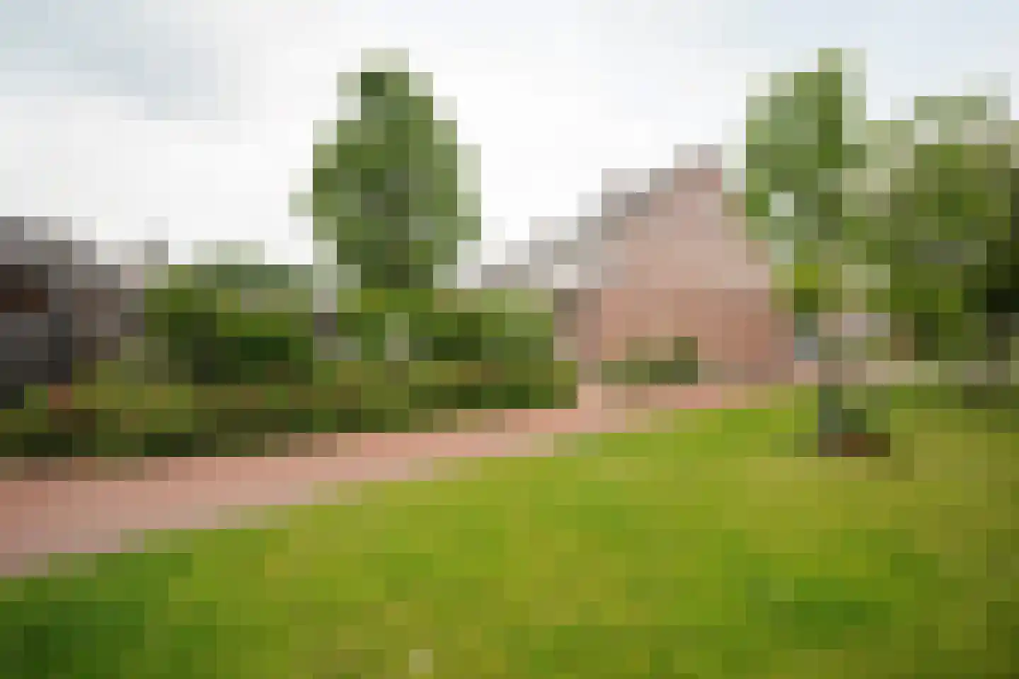 Meerkoetstraat 21 Putten thumbnail 56