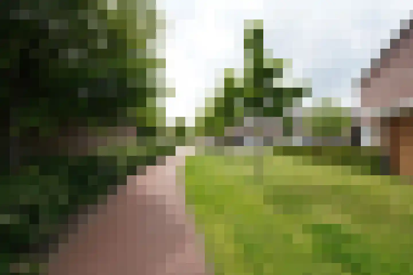 Meerkoetstraat 21 Putten thumbnail 59
