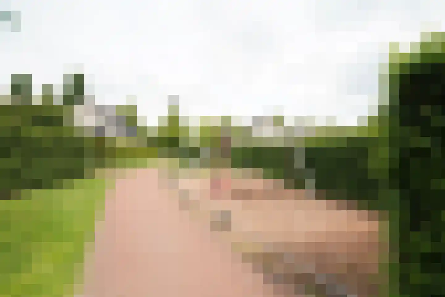 Meerkoetstraat 21 Putten thumbnail 60