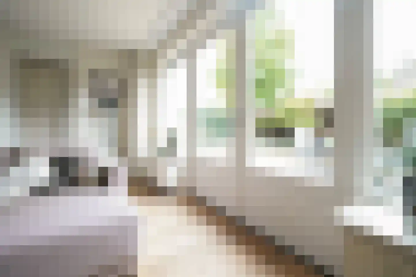 Meerkoetstraat 21 Putten thumbnail 7