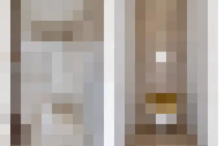 Meerkoetstraat 24 Capelle aan den IJssel thumbnail 10