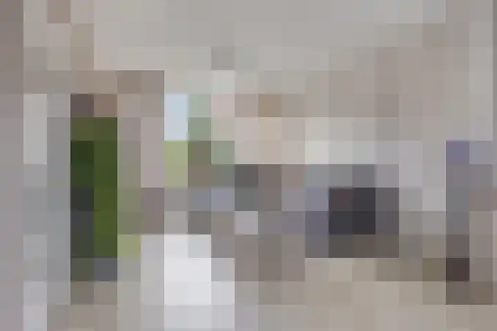 Meerkoetstraat 24 Capelle aan den IJssel thumbnail 12