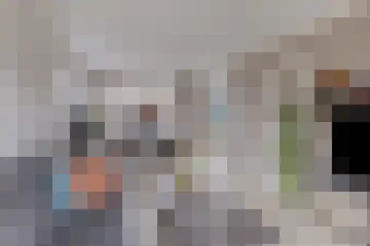 Meerkoetstraat 24 Capelle aan den IJssel thumbnail 15