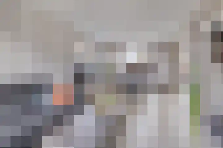 Meerkoetstraat 24 Capelle aan den IJssel thumbnail 16