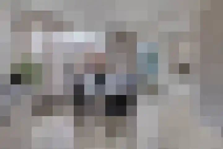 Meerkoetstraat 24 Capelle aan den IJssel thumbnail 17