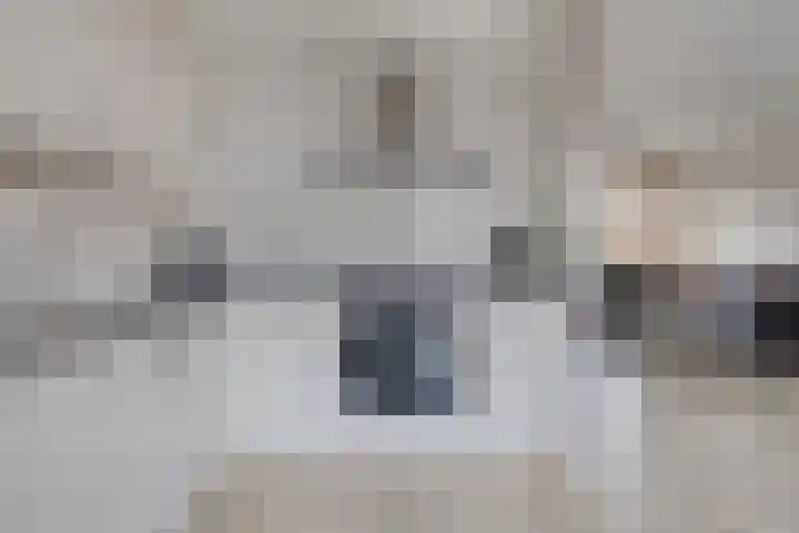 Meerkoetstraat 24 Capelle aan den IJssel thumbnail 19