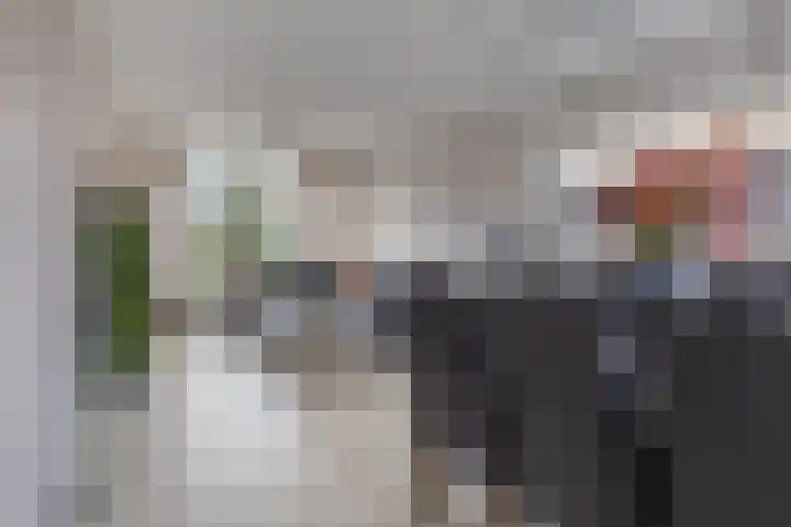 Meerkoetstraat 24 Capelle aan den IJssel thumbnail 21